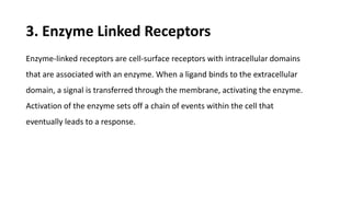 3. Enzyme Linked Receptors
Enzyme-linked receptors are cell-surface receptors with intracellular domains
that are associated with an enzyme. When a ligand binds to the extracellular
domain, a signal is transferred through the membrane, activating the enzyme.
Activation of the enzyme sets off a chain of events within the cell that
eventually leads to a response.
 