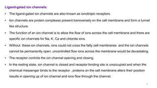 Ligand-gated ion channels:
• The ligand-gated ion channels are also known as ionotropic receptors.
• Ion channels are protein complexes present transversely on the cell membrane and form a tunnel
like structure.
• The function of an ion channel is to allow the flow of ions across the cell membrane and there are
specific ion channels for Na, K, Ca and chloride ions.
• Without these ion channels, ions could not cross the fatty cell membranes and the ion channels
cannot be permanently open, uncontrolled flow ions across the membrane would be devastating.
• The receptor controls the ion channel opening and closing.
• In the resting state, ion channel is closed and receptor binding site is unoccupied and when the
chemical messenger binds to the receptor , proteins on the cell membrane alters their position
results in opening up of ion channel and ions flow through the channel.
10
 