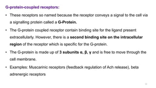 G-protein-coupled receptors:
• These receptors so named because the receptor conveys a signal to the cell via
a signalling protein called a G-Protein.
• The G-protein coupled receptor contain binding site for the ligand present
extracellularly. However, there is a second binding site on the intracellular
region of the receptor which is specific for the G-protein.
• The G-protein is made up of 3 subunits α, β, γ and is free to move through the
cell membrane.
• Examples: Muscarinic receptors (feedback regulation of Ach release), beta
adrenergic receptors
13
 