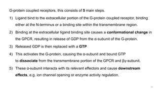 G-protein coupled receptors, this consists of 5 main steps.
1) Ligand bind to the extracellular portion of the G-protein coupled receptor, binding
either at the N-terminus or a binding site within the transmembrane region.
2) Binding at the extracellular ligand binding site causes a conformational change in
the GPCR, resulting in release of GDP from the α-subunit of the G-protein.
3) Released GDP is then replaced with a GTP
4) This activates the G-protein, causing the α-subunit and bound GTP
to dissociate from the transmembrane portion of the GPCR and βγ-subunit.
5) These α-subunit interacts with its relevant effectors and cause downstream
effects, e.g. ion channel opening or enzyme activity regulation.
14
 