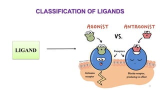 CLASSIFICATION OF LIGANDS
22
LIGAND
 