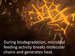 During biodegradation, microbial
feeding activity breaks molecular
chains and generates heat.
 