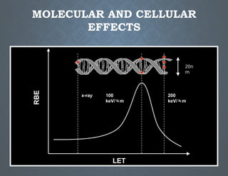 biological effects of radiation- Nelson A | PPTX