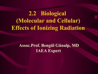 2.2  Biological  (Molecular and Cellular) Effects of Ionizing Radiation Assoc.Prof. Bengül Günalp, MD IAEA Expert  