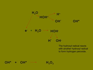 Biological effects of ionizing radiations..what every physician must ...