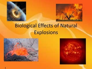 Biological Effects of Natural Explosions 1 