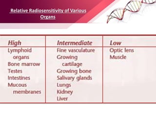 Radiosensitive Tissues Biological effects of radiation | PPTX