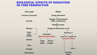 BIOLOGICAL EFFECTS OF RADIATION USHA YADAV.pptx