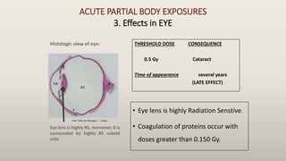 Eye Rays Effect BIOLOGICAL EFFECTS OF RADIATION USHA YADAV.pptx