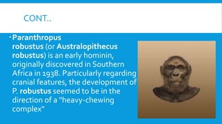 CONT..
Paranthropus
robustus (or Australopithecus
robustus) is an early hominin,
originally discovered in Southern
Africa in 1938. Particularly regarding
cranial features, the development of
P. robustus seemed to be in the
direction of a "heavy-chewing
complex"
 