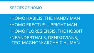 SPECIES OF HOMO
HOMO HABILIS:THE HANDY MAN
HOMO ERECTUS: UPRIGHT MAN
HOMO FLORESIENSIS:THE HOBBIT
NEANDERTHALS, DENISOVIANS,
CRO-MAGNON: ARCHAIC HUMAN
 