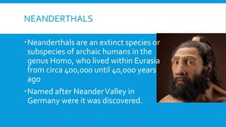 NEANDERTHALS
Neanderthals are an extinct species or
subspecies of archaic humans in the
genus Homo, who lived within Eurasia
from circa 400,000 until 40,000 years
ago
Named after NeanderValley in
Germany were it was discovered.
 