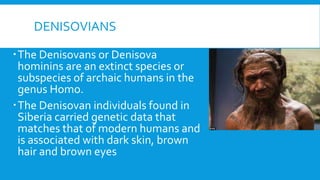 DENISOVIANS
The Denisovans or Denisova
hominins are an extinct species or
subspecies of archaic humans in the
genus Homo.
The Denisovan individuals found in
Siberia carried genetic data that
matches that of modern humans and
is associated with dark skin, brown
hair and brown eyes
 