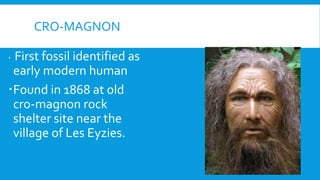 CRO-MAGNON
 First fossil identified as
early modern human
Found in 1868 at old
cro-magnon rock
shelter site near the
village of Les Eyzies.
 