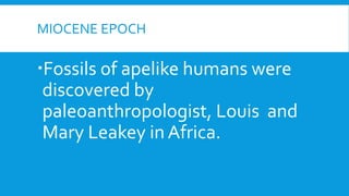 MIOCENE EPOCH
Fossils of apelike humans were
discovered by
paleoanthropologist, Louis and
Mary Leakey in Africa.
 
