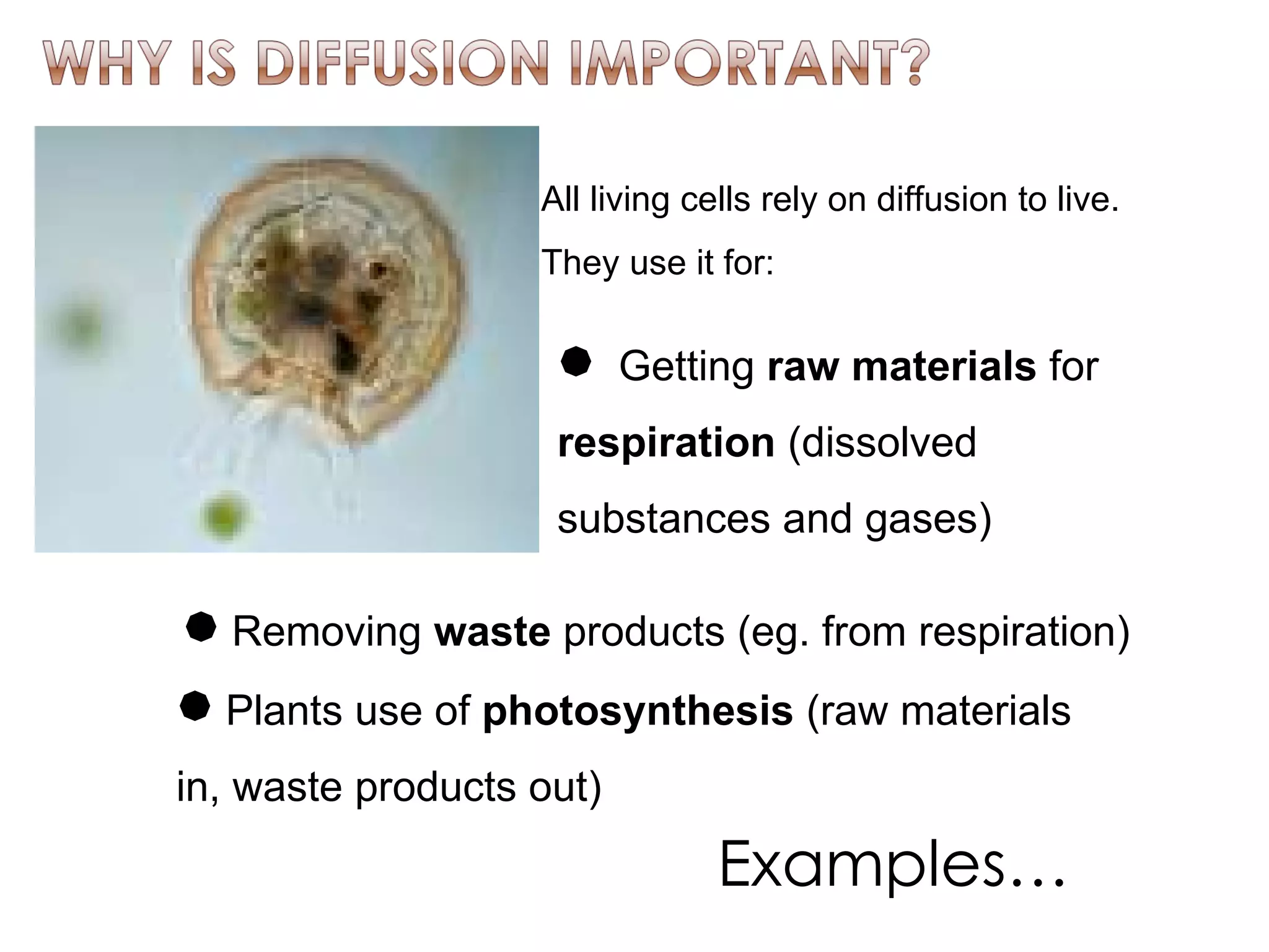 All living cells rely on diffusion to live. They use it for: Getting  raw materials  for  respiration  (dissolved substances and gases) Removing  waste  products (eg. from respiration) Plants use of  photosynthesis  (raw materials in, waste products out) Examples… 