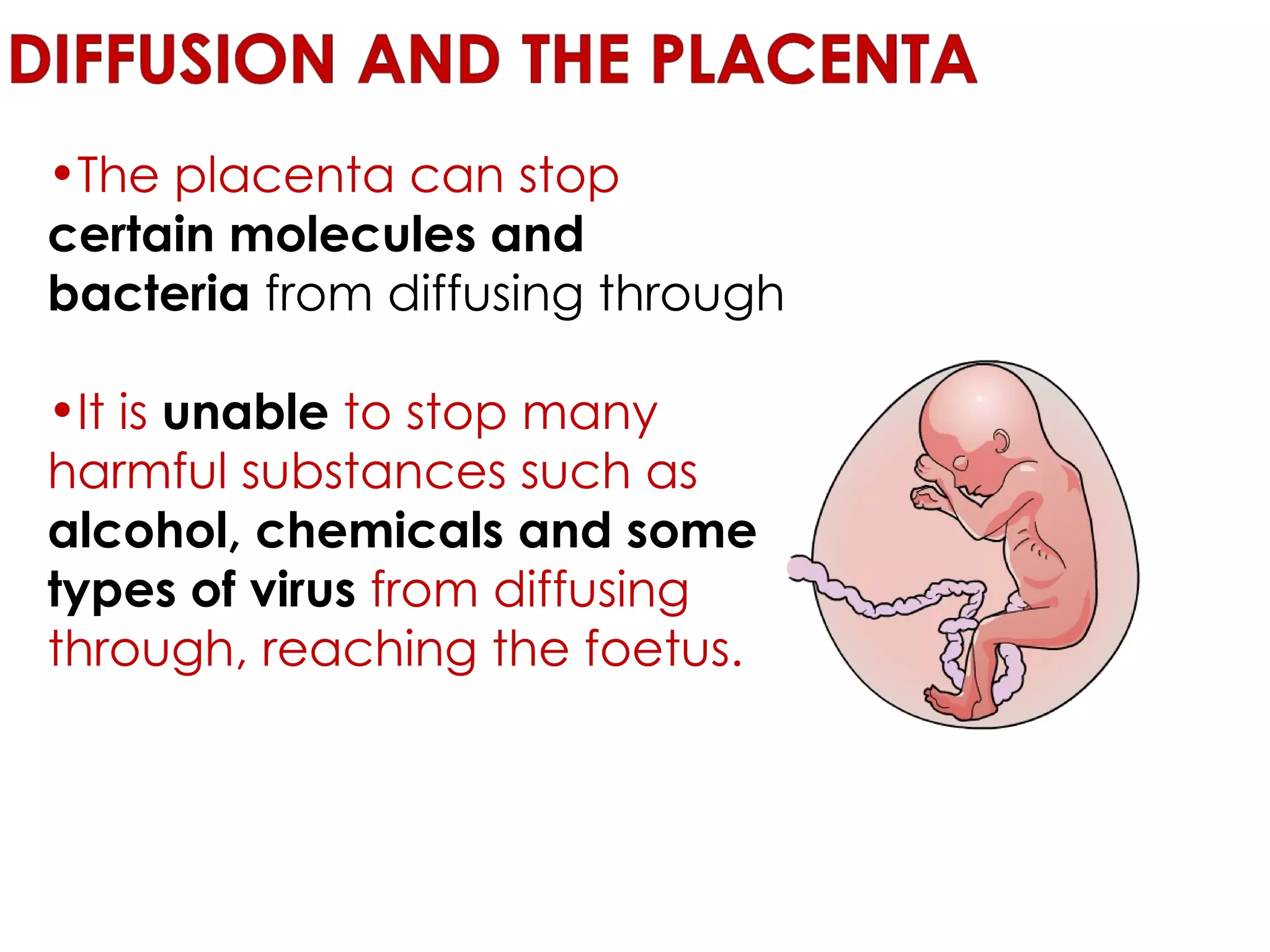 The placenta can stop  certain molecules and bacteria  from diffusing through It is  unable  to stop many harmful substances such as  alcohol, chemicals and some types of virus  from diffusing through, reaching the foetus.   