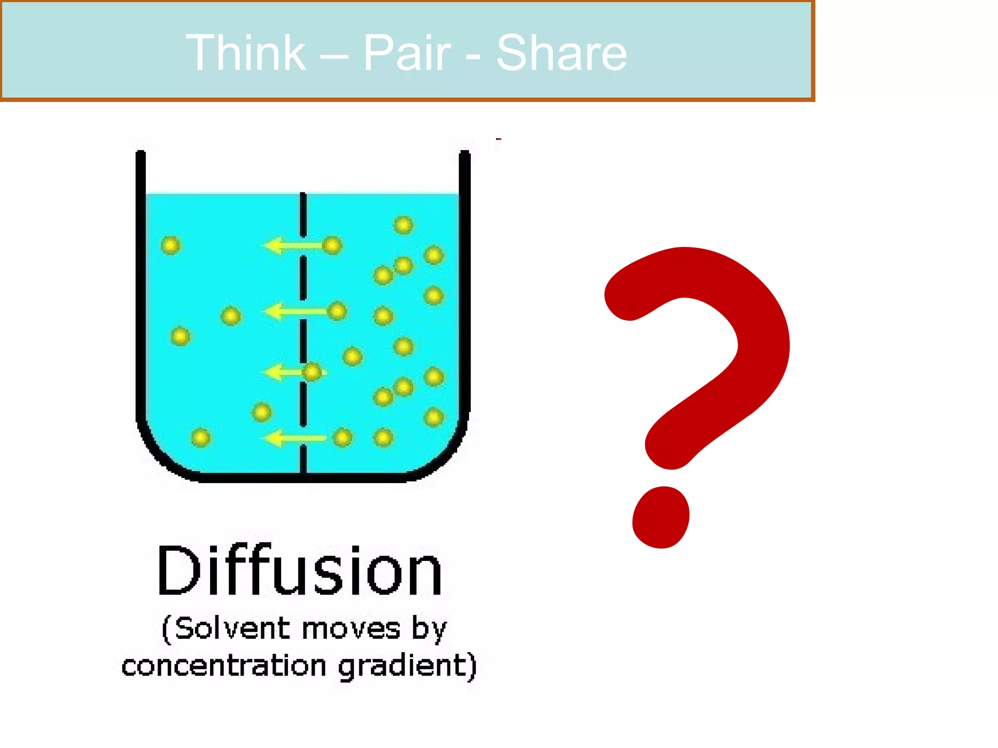 ? Think – Pair - Share 