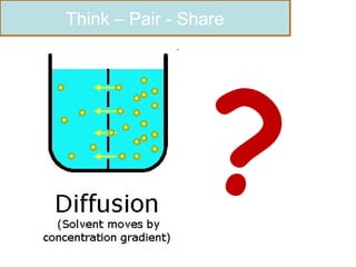 ? Think – Pair - Share 