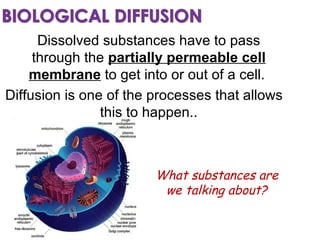 Dissolved substances have to pass through the  partially permeable   cell membrane  to get into or out of a cell.  Diffusion is one of the processes that allows this to happen.. What substances are we talking about? 