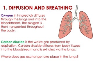 Example Of Diffusion