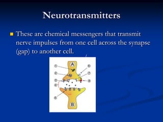 Neurotransmitters


These are chemical messengers that transmit
nerve impulses from one cell across the synapse
(gap) to another cell.

 