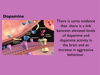 Dopamine There is some evidence that  there is a link between elevated levels of dopamine and dopamine activity in the brain and an increase in aggressive behaviour. 
