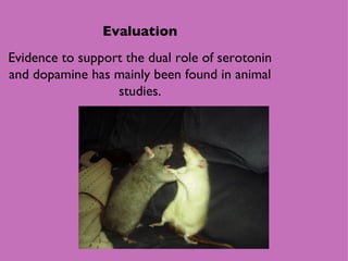 Evaluation Evidence to support the dual role of serotonin and dopamine has mainly been found in animal studies. 