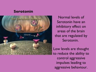 Serotonin Normal levels of Serotonin have an inhibitory effect on areas of the brain that are regulated by Serotonin.  Low levels are thought to reduce the ability to control aggressive impulses leading to aggressive behaviour. 