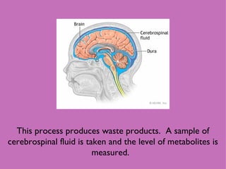 This process produces waste products.  A sample of cerebrospinal fluid is taken and the level of metabolites is measured.  