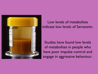 Low levels of metabolites indicate low levels of Serotonin. Studies have found low levels of metabolites in people who have poor impulse control and engage in aggressive behaviour. 