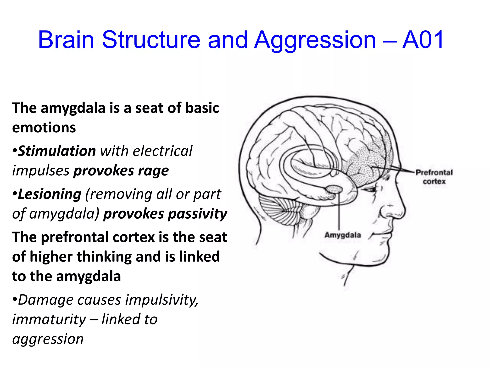 If the role of biochemistry can be understood it can perhaps be treated or managed