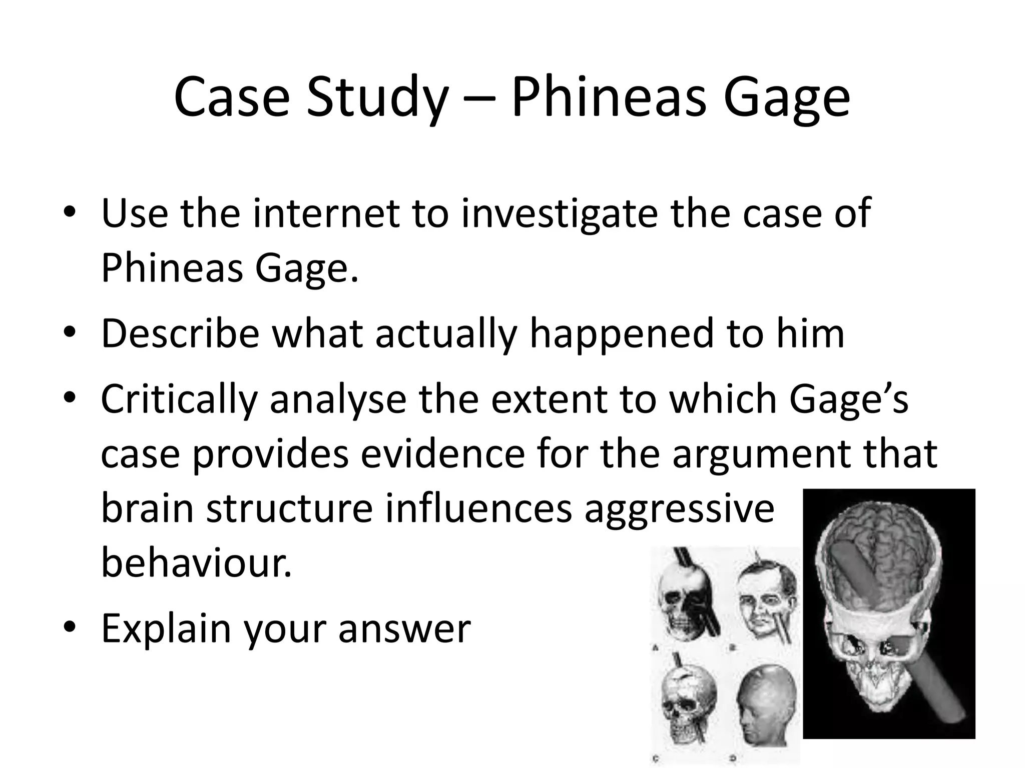 Could perhaps be treated  more ethically through diet (tryptophan) and exercise15