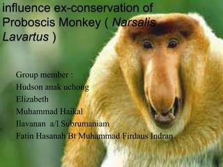 influence ex-conservation of
Proboscis Monkey ( Narsalis
Lavartus )


  Group member :
  Hudson anak uchong
  Elizabeth
  Muhammad Haikal
  Ilavanan a/l Subrumaniam
  Fatin Hasanah Bt Muhammad Firdaus Indran
 