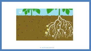 BY - Ms MAYURI R SOMPURA
 