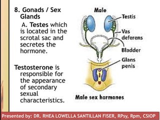 8. Gonads / Sex
Glands
A. Testes which
is located in the
scrotal sac and
secretes the
hormone.
Testosterone is
responsible for
the appearance
of secondary
sexual
characteristics.
Presented by: DR. RHEA LOWELLA SANTILLAN FISER, RPsy, Rpm, CSIOP
 