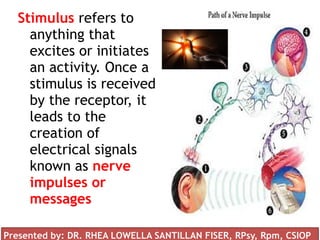 Stimulus refers to
anything that
excites or initiates
an activity. Once a
stimulus is received
by the receptor, it
leads to the
creation of
electrical signals
known as nerve
impulses or
messages
Presented by: DR. RHEA LOWELLA SANTILLAN FISER, RPsy, Rpm, CSIOP
 