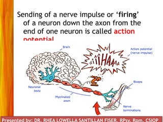 Presented by: DR. RHEA LOWELLA G.
SANTILLAN, CSIOP, Rpm
Sending of a nerve impulse or ‘firing’
of a neuron down the axon from the
end of one neuron is called action
potential.
Presented by: DR. RHEA LOWELLA SANTILLAN FISER, RPsy, Rpm, CSIOP
 