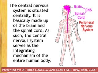 The central nervous
system is situated
centrally. It is
basically made up
of the brain and
the spinal cord. As
such, the central
nervous system
serves as the
integrating
mechanism of the
entire human body.
Presented by: DR. RHEA LOWELLA SANTILLAN FISER, RPsy, Rpm, CSIOP
 