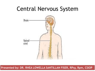 Central Nervous System
Presented by: DR. RHEA LOWELLA SANTILLAN FISER, RPsy, Rpm, CSIOP
 