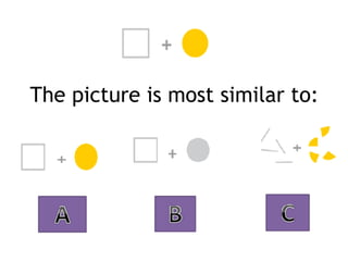 The picture is most similar to:
 