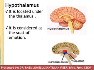 Hypothalamus
✓It is located under
the thalamus .
✓It is considered as
the seat of
emotion.
Presented by: DR. RHEA LOWELLA SANTILLAN FISER, RPsy, Rpm, CSIOP
 