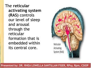 The reticular
activating system
(RAS) controls
our level of sleep
and arousal
through the
reticular
formation that is
embedded within
its central core.
Presented by: DR. RHEA LOWELLA SANTILLAN FISER, RPsy, Rpm, CSIOP
 