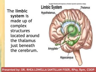 The limbic
system is
made up of
complex
structures
located around
the thalamus
just beneath
the cerebrum.
Presented by: DR. RHEA LOWELLA SANTILLAN FISER, RPsy, Rpm, CSIOP
 