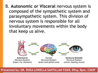 B. Autonomic or Visceral nervous system is
composed of the sympathetic system and
parasympathetic system. This division of
nervous system is responsible for all
involuntary movements within the body
that keep us alive.
Presented by: DR. RHEA LOWELLA SANTILLAN FISER, RPsy, Rpm, CSIOP
 