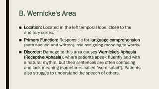 B. Wernicke's Area
■ Location: Located in the left temporal lobe, close to the
auditory cortex.
■ Primary Function: Responsible for language comprehension
(both spoken and written), and assigning meaning to words.
■ Disorder: Damage to this area causes Wernicke's Aphasia
(Receptive Aphasia), where patients speak fluently and with
a natural rhythm, but their sentences are often confusing
and lack meaning (sometimes called "word salad"). Patients
also struggle to understand the speech of others.
 
