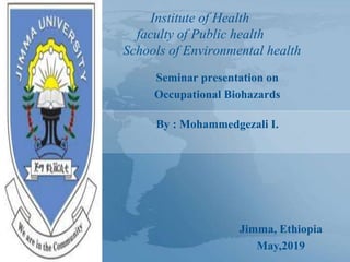 Institute of Health
faculty of Public health
Schools of Environmental health
Seminar presentation on
Occupational Biohazards
By : Mohammedgezali I.
Jimma, Ethiopia
May,2019
 