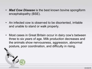 Biological Hazard.ppt