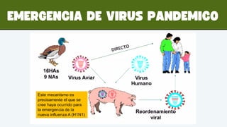 Biological Hazards Epidemics and Pandemics Presentation.pdf