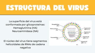 Biological Hazards Epidemics and Pandemics Presentation.pdf